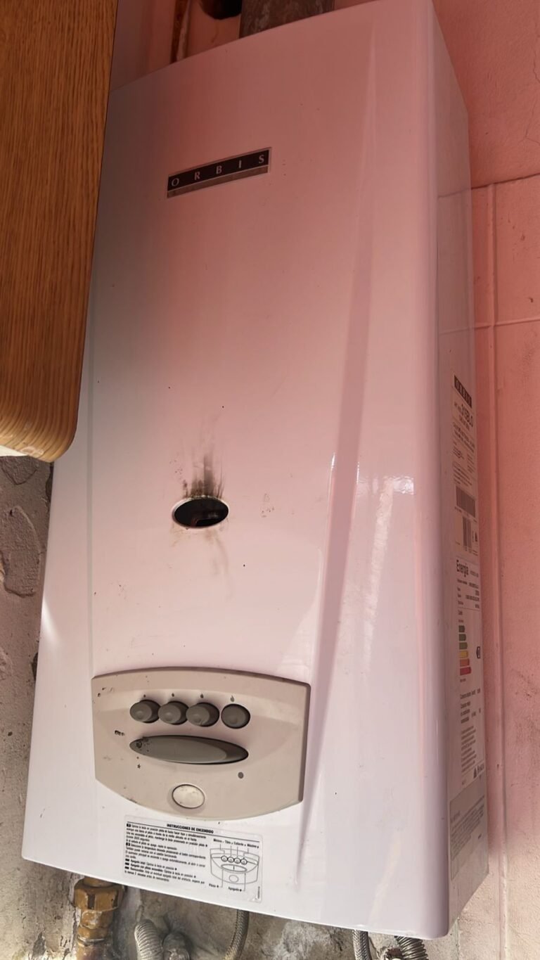 service buenos aires orbis 2